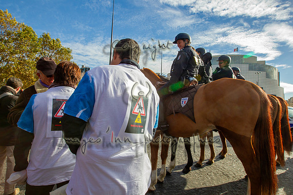 20131111_EKL_0017