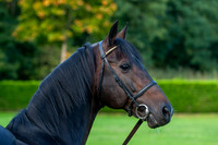 20081002_EKL_0028