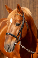 20081025_EKL_0012