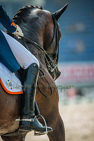20150812_EKL_0325