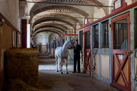 20080729_EKL_0011