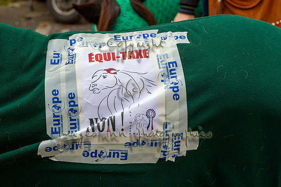 20131111_EKL_0148