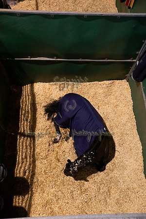 20141206_EKL_ 0015