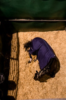 20141206_EKL_ 0016