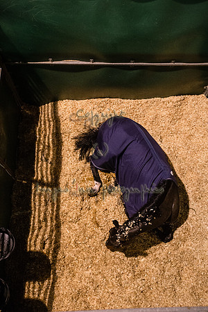 20141206_EKL_ 0016