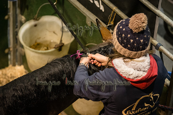 20141206_EKL_ 0018