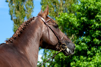 20080716_EKL_0078