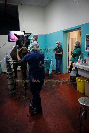 20170131_EKL_ 0098