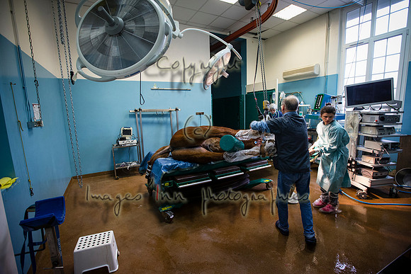 20170131_EKL_ 0158