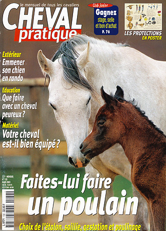 Cheval Pratique Mars 2001