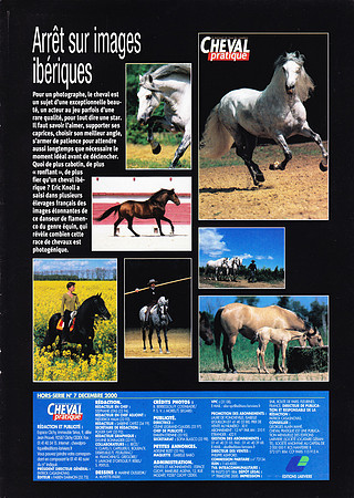 HS Cheval Pratique Decembre 2000