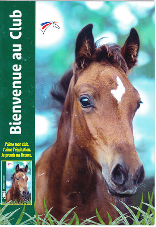 License FFE 2003