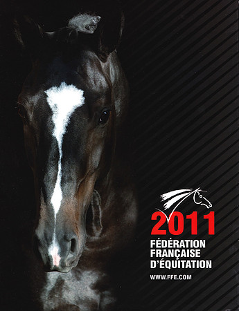 License FFE 2011