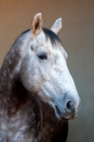 20081025_EKL_0026