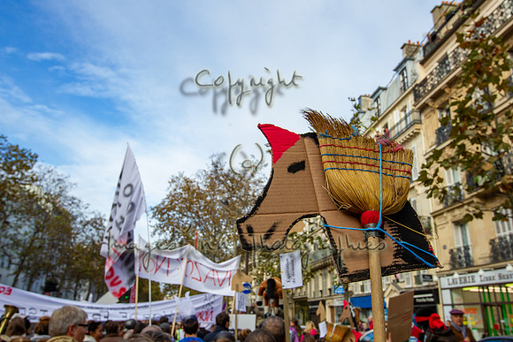 20131111_EKL_0119