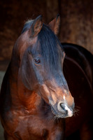 20081003_EKL_0026