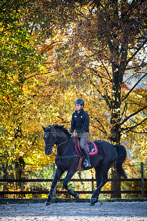 20161105_EKL_0010