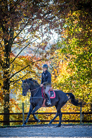 20161105_EKL_0009