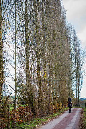 20161105_EKL_0024
