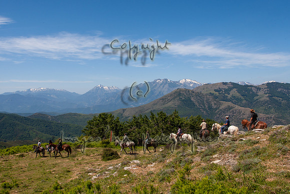 20090611_EKL_0014