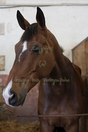 20110426_EKL_0004