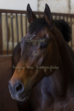 20110426_EKL_0001