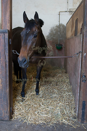 20110426_EKL_0003