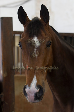 20110426_EKL_0002