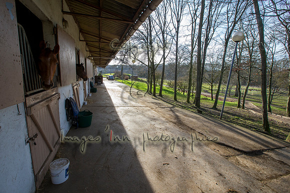 20140118_EKL_069