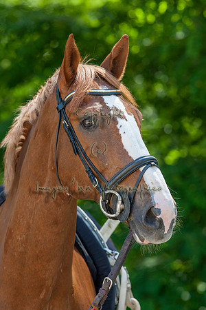 20100625_EKL_0057