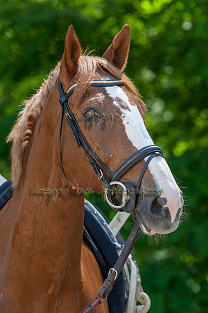 20100625_EKL_0058