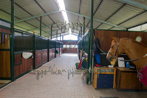 20110406_EKL_0003