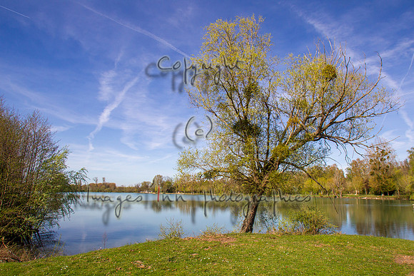 20110406_EKL_0012