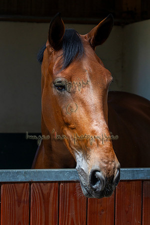 20110629_EKL_0076