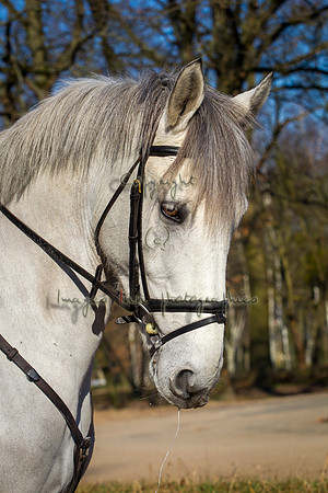 20120204_EKL_006