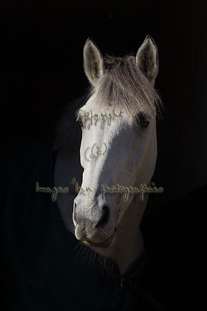 20120204_EKL_007