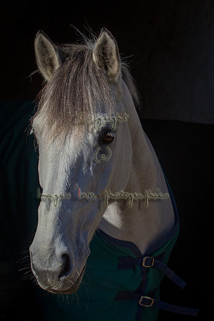 20120204_EKL_008