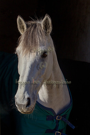 20120204_EKL_009