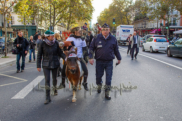 20131111_EKL_0078