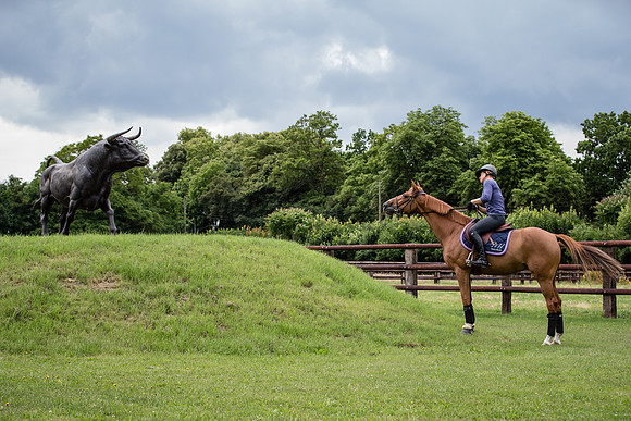 20140701_X4Y_00374