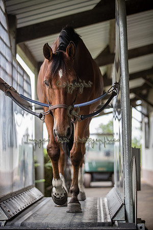 20190615_EKL_147