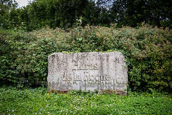 20190615_EKL_192