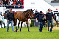 20130519_EKL_0008