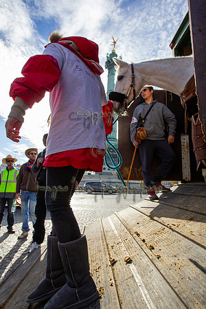 20131111_EKL_0031