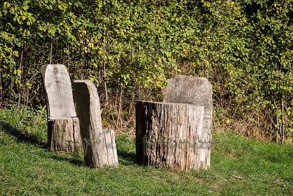 20200915_EKL_010