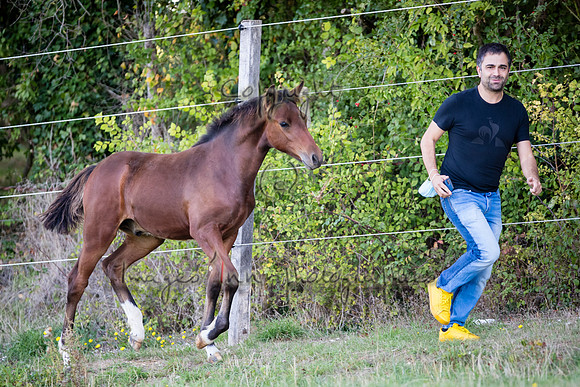 20200915_EKL_033