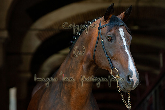 20080729_EKL_0102