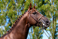 20080716_EKL_0076