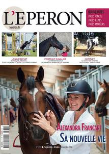Couverture-378_largeP