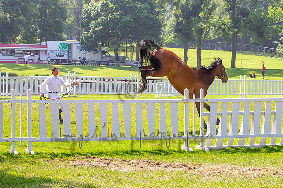 20130608_EKL_0014